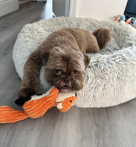 Plush Cloud Dog Bed