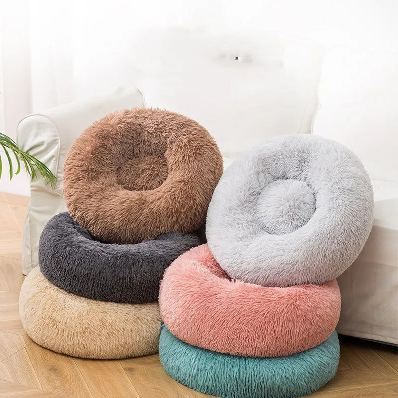 BEST Plush Winter Dog Bed